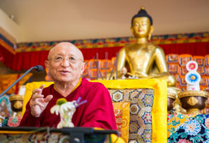 Chokyi Nyima Rinpoche Buddhist Lama